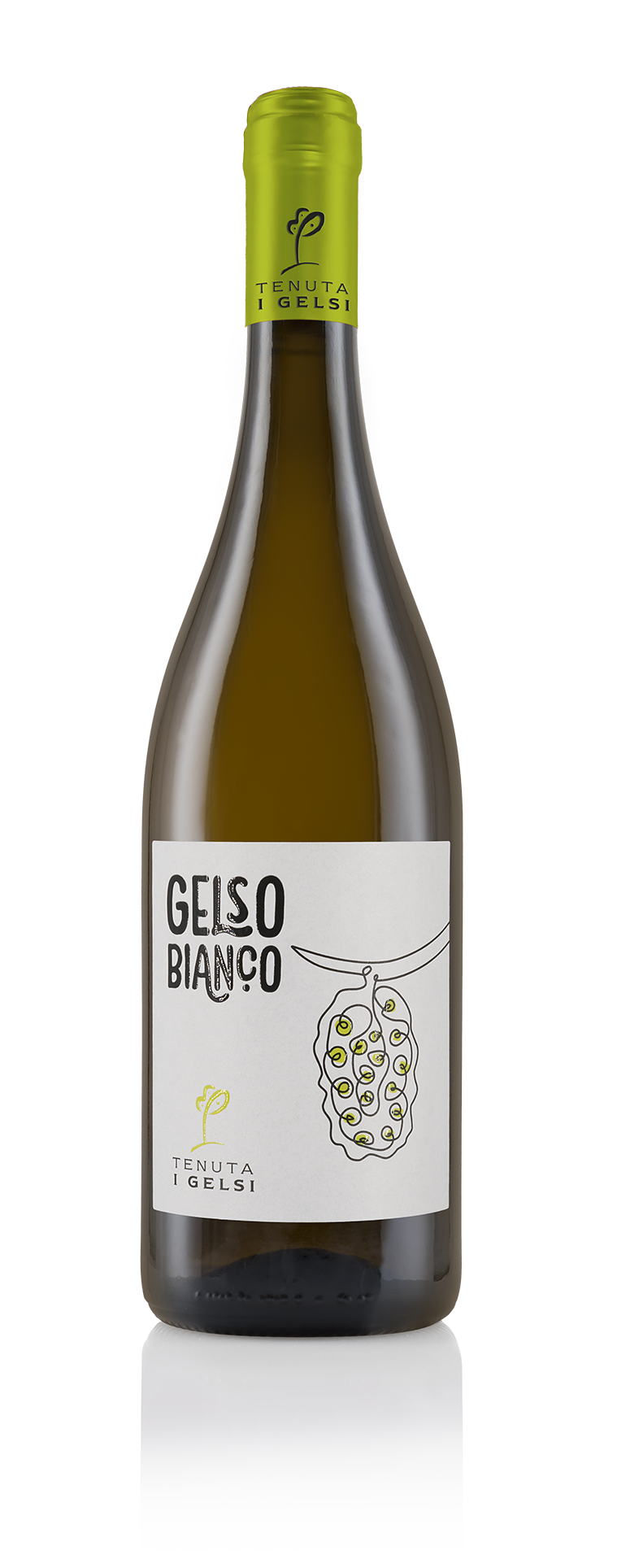 Aglianico-del-Vulture